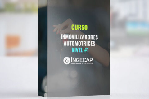 inmovilizadores